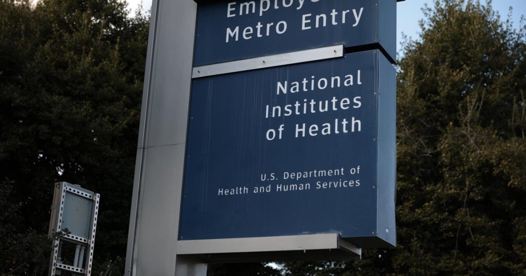 RFK Jr. told Congress no working scientists were fired, but these top NIH brain scientists are still facing job cuts