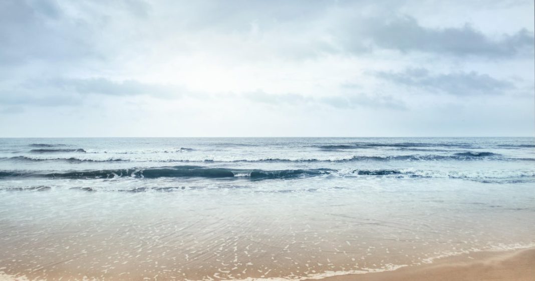 Shark bites 12-year-old girl off Hilton Head Island days after 9-year-old almost lost hand in Florida attack