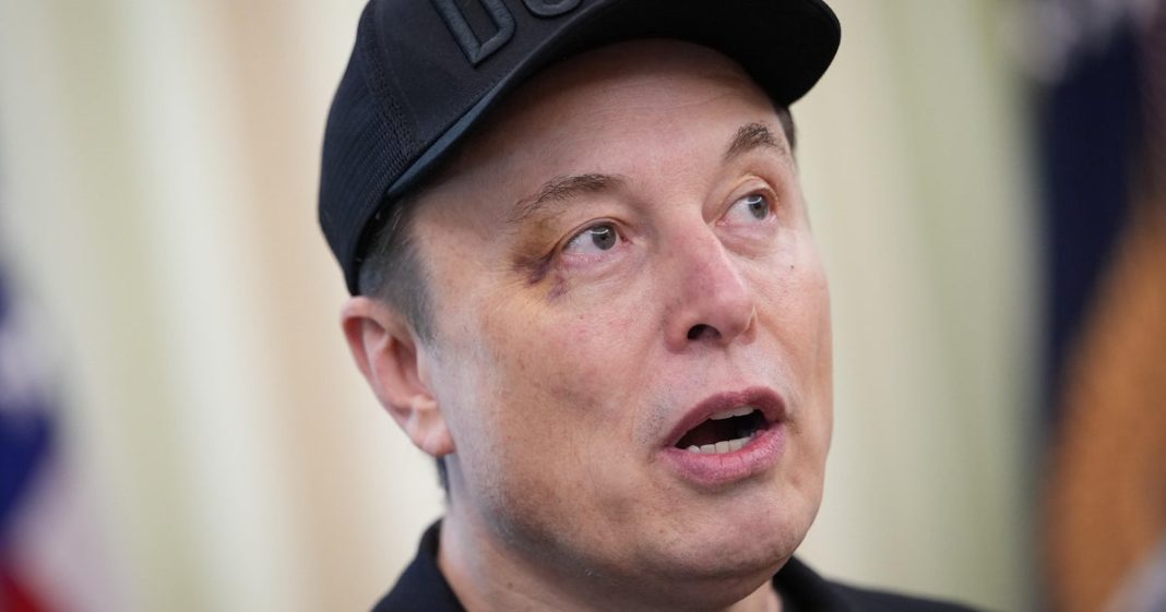 Elon Musk tells tech analyst Dan Ives to 