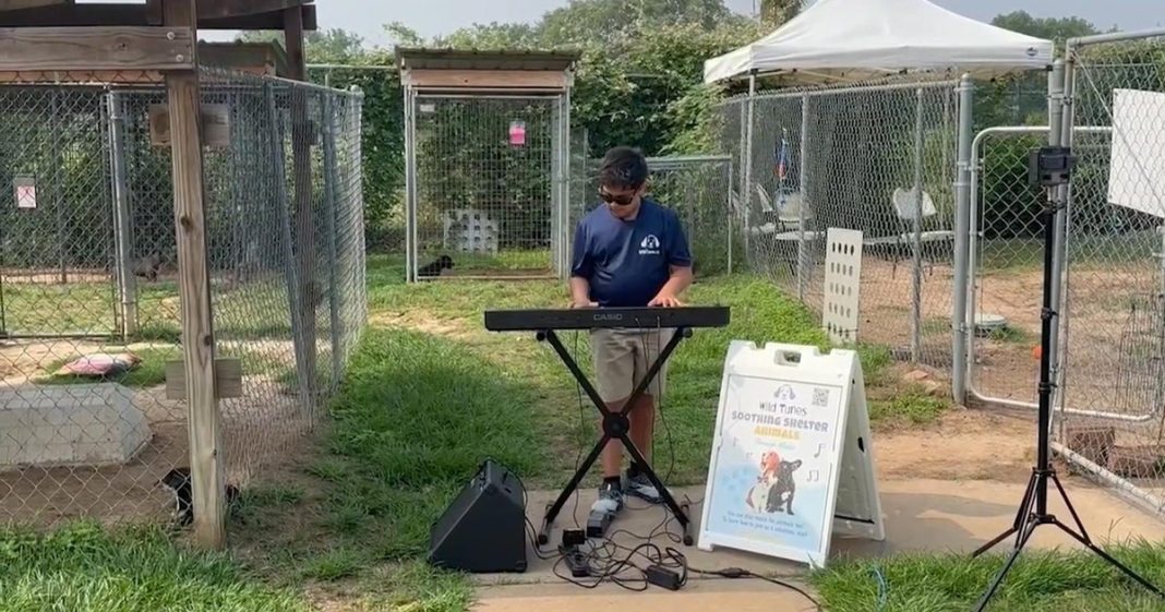 Meet the Texas boy playing music for shelter animals Meet the Texas boy playing music for shelter animals